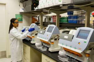 AI in Bioinformatics Internship: Explore Biological Data Analysis and Genomics